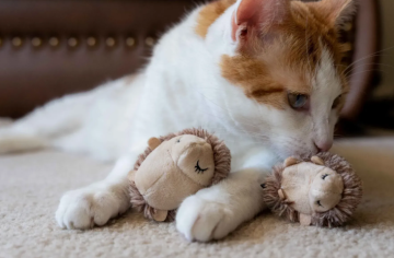 Игрушка для кошек Feline Frenzy - Woodland Hedgehog Pet Play