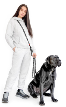 Повідець-перестібка для собак WAUDOG Nylon, малюнок "Зебра"