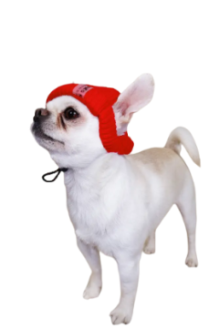 Шапка вязаная DogsBomba Бини красная