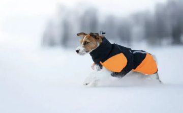 Зимняя куртка для собак Glacier wool jacket 3.0 Non-stop dogwear Черный/Оранжевый