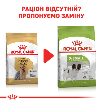 Royal Canin Yorkshire Terrier 8+