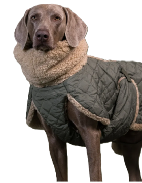 Теплая попона для собак Winter Sherpa Jacket Olive Paikka