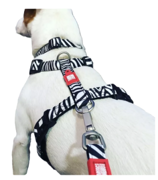 Анатомическая шлея H/Y Max & Molly H-Harness Zebra/XS с принтом Зебра