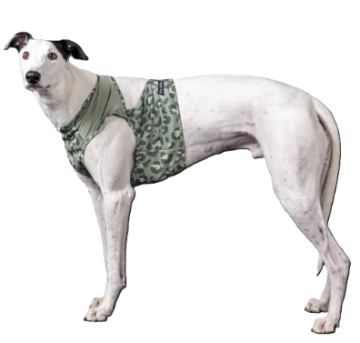 Охолоджувальний жилет для собак PAIKKA Cool Vest Green Leo