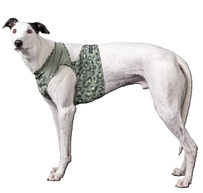 Жилет охлаждающий для собак PAIKKA Cool Vest Green Leo. Цена 1715 грн