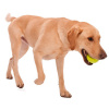 West Paw Jive Dog Ball S Мяч для собак