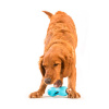 West Paw Qwizl Treat Toy Large Игрушка-кормушка для собак