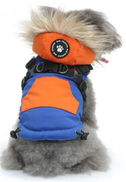 Зимовий жилет для собак з капюшоном та хутром Derby Blue/Orange