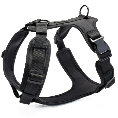 Y-подібна шлейка для собак Cloud7 Y-3 Harness AKTIV Чорний