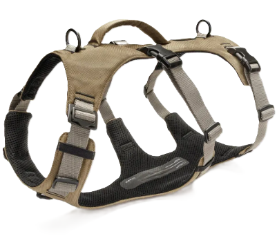 Y-подібна шлейка для собак Cloud7 Y-Safe-Harness AKTIV Сірий/Хаки