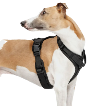 Y-подібна шлейка для собак Cloud7 Y-3 Harness AKTIV Чорний