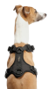 Y-подібна шлейка для собак Cloud7 Y-3 Harness AKTIV Чорний