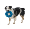 Іграшка для собак WEST PAW Seaflex Saliz Large, 22 см
