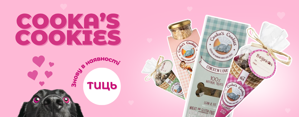 cooka's cookies знову в дамбо
