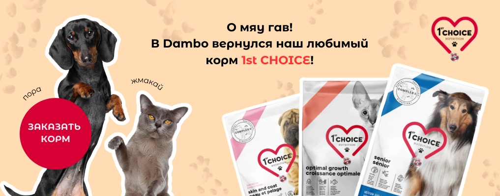 1st choice корм для собак и котов